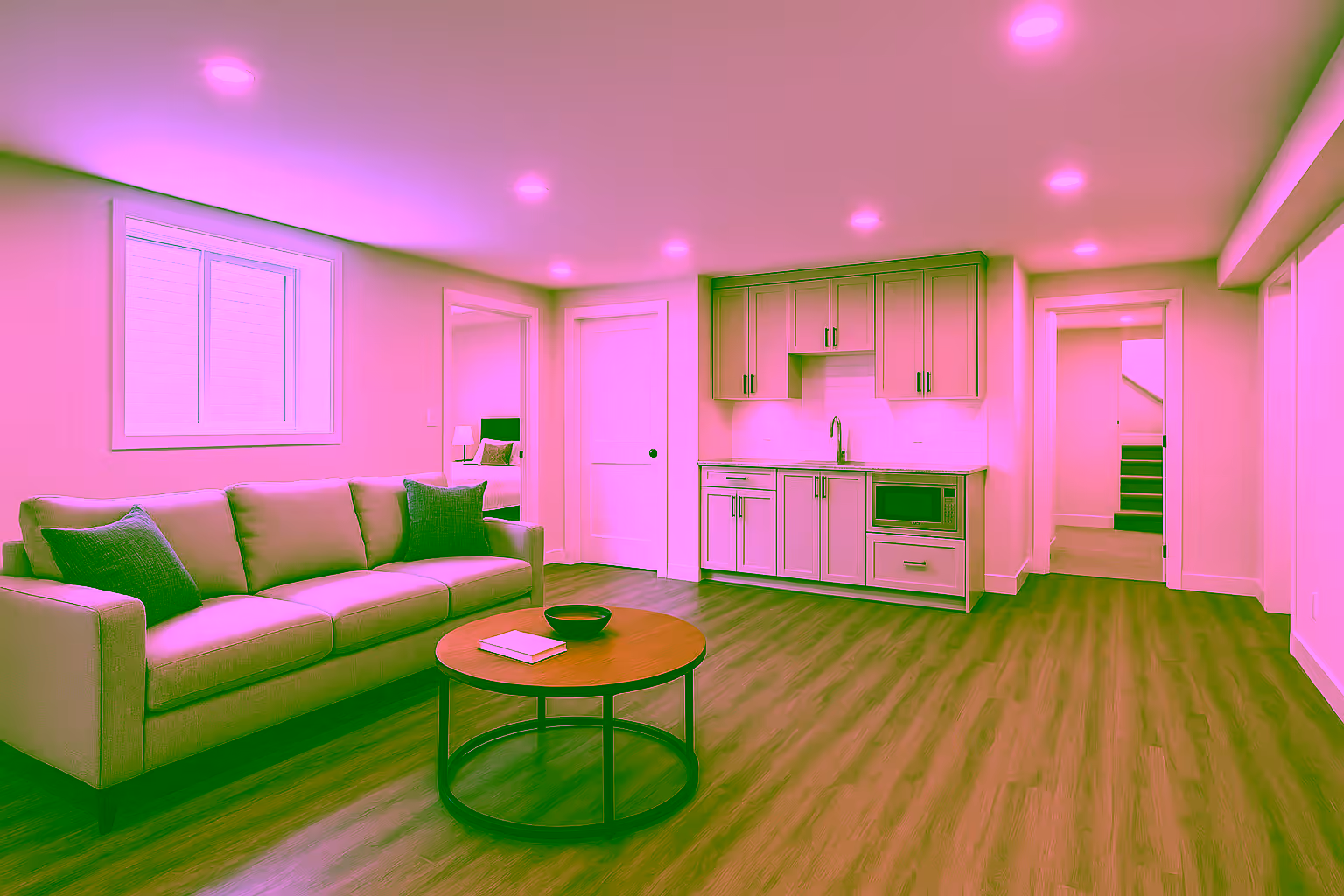 Bright finished basement and secondary suite renovation in Kelowna